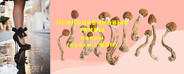 спиды Киреевск