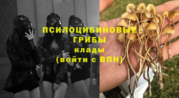 марки lsd Кинешма