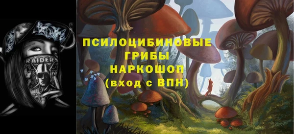 ГАЛЛЮЦИНОГЕННЫЕ ГРИБЫ Киренск