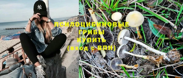 спиды Киреевск